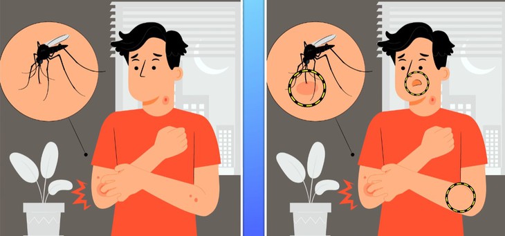 Thử tài tinh mắt - Ảnh 2.