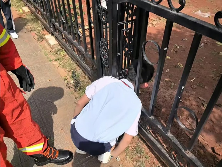 Mắc kẹt trong máy giặt vì muốn... hạ hỏa - Ảnh 3.