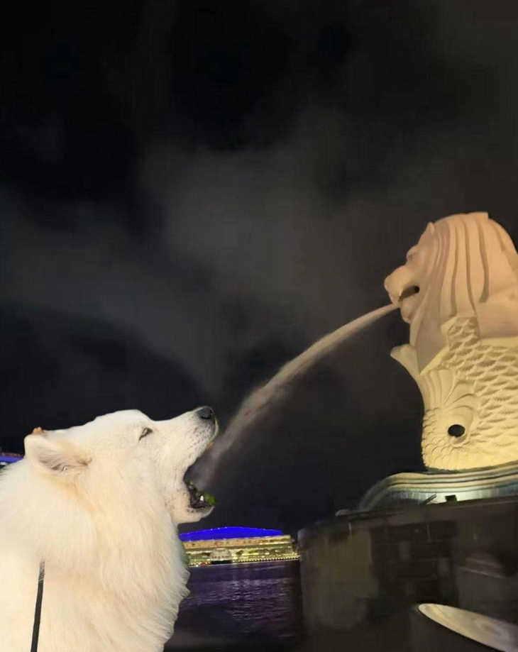 sống ảo - Ảnh 5.