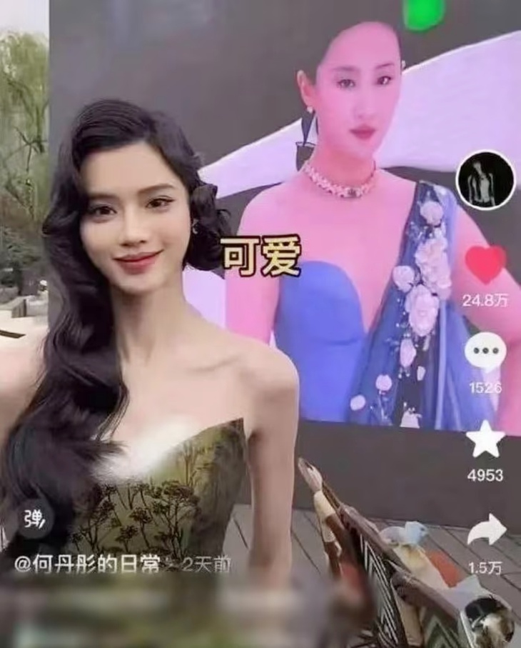 Một nữ blogger bị 'ném đá' vì đăng clip Lưu Diệc Phi 'mũm mĩm' - Ảnh 1.