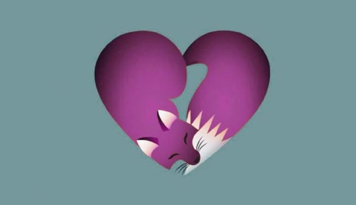 trực giác - Ảnh 1.