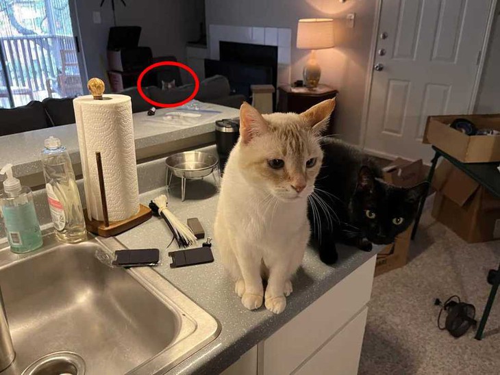 tinh mắt - Ảnh 2.