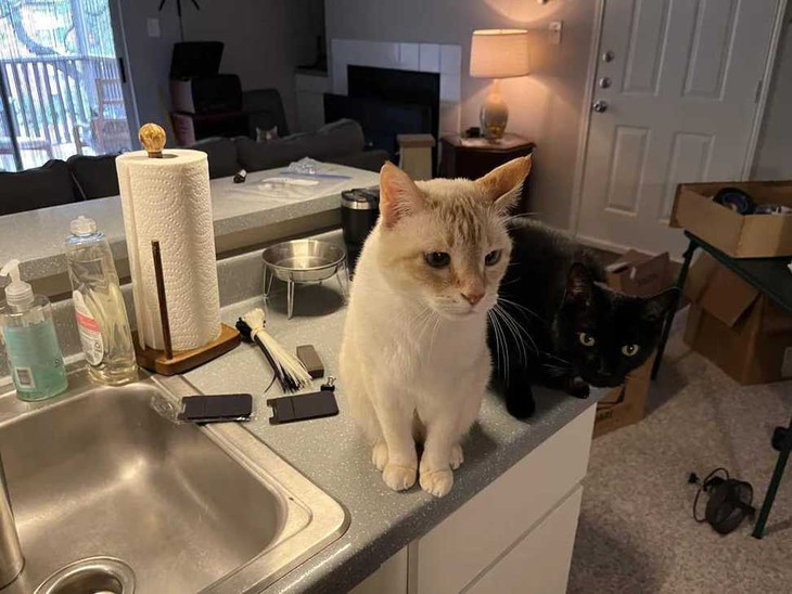 tinh mắt - Ảnh 1.