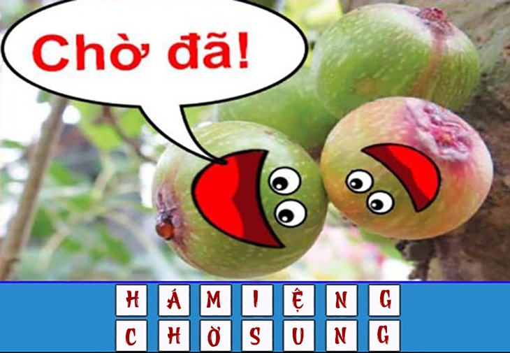 đuổi hình bắt chữ - Ảnh 4.