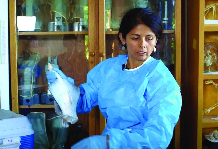 Giải oan cho nghiên cứu "lạ" - Ảnh 2.