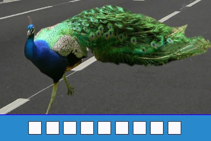 đuổi hình bắt chữ - Ảnh 3.