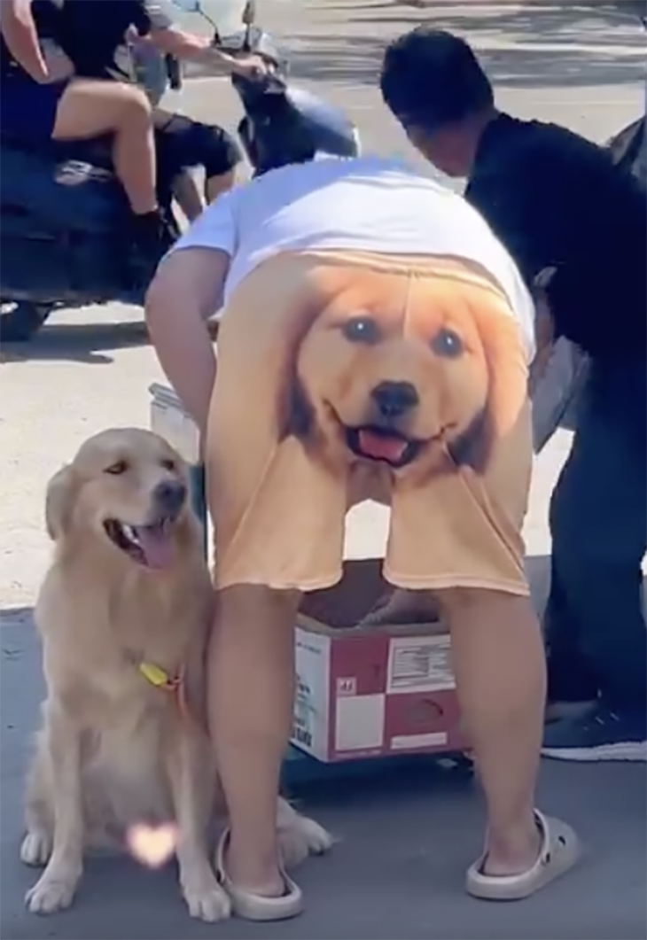 heo Peppa - Ảnh 5.