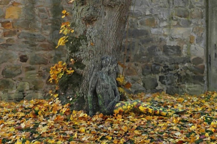 Thử tài tinh mắt - Ảnh 2.