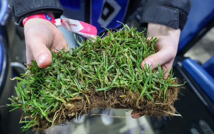 Eintracht Frankfurt ‘giàu to’ nhờ buôn bán tiền đạo - Ảnh 2.