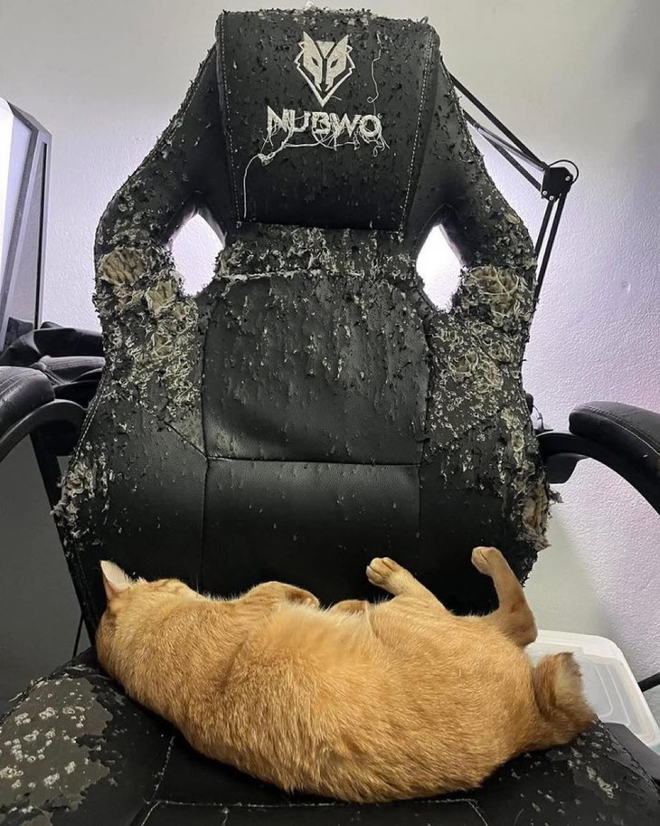 thứ hai - Ảnh 3.