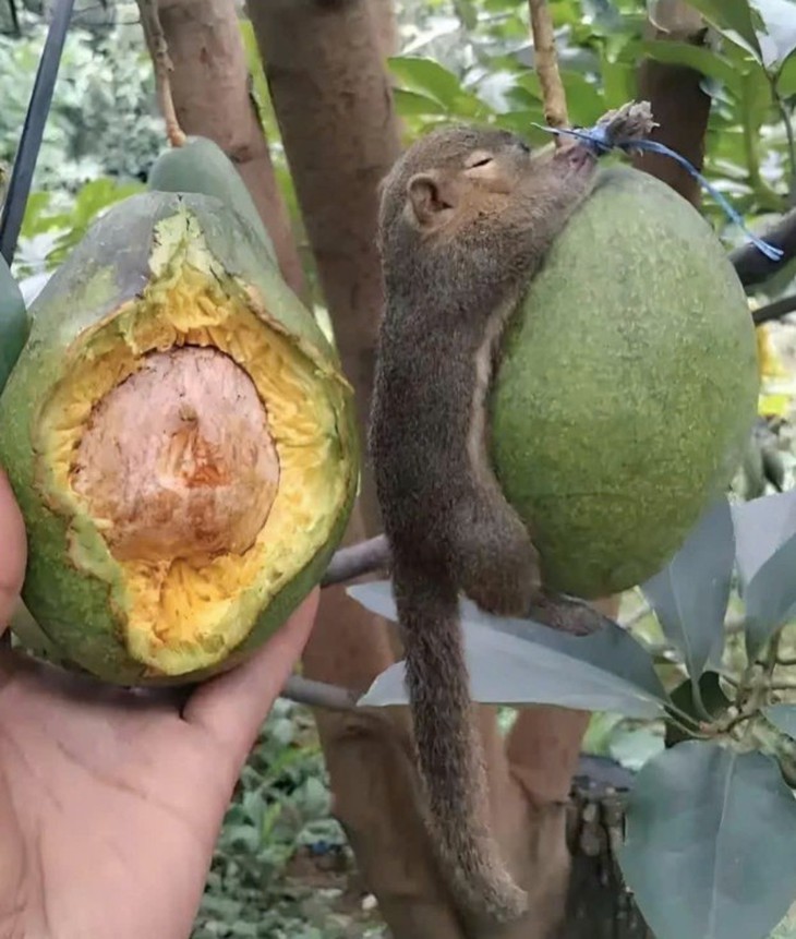 thứ hai - Ảnh 5.