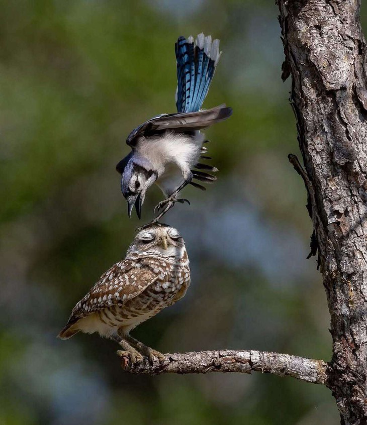 hung thủ - Ảnh 3.