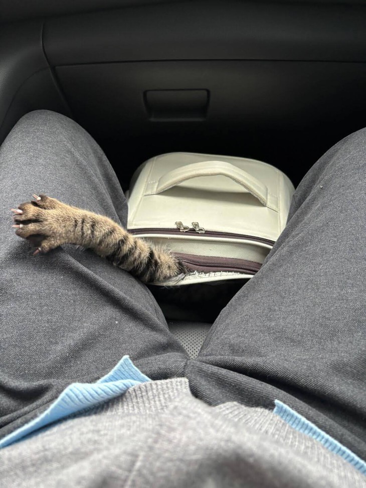 hung thủ - Ảnh 6.