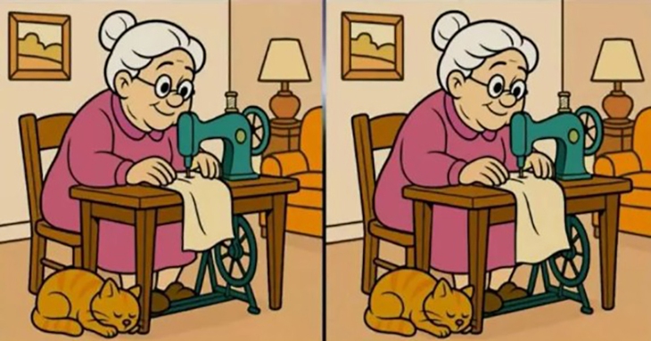 con thỏ - Ảnh 5.