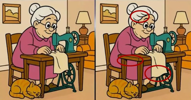 con thỏ - Ảnh 6.