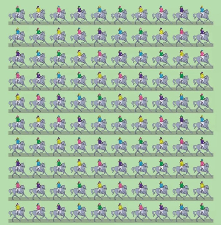 con thỏ - Ảnh 3.