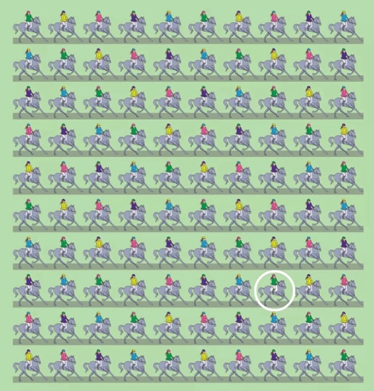 con thỏ - Ảnh 4.