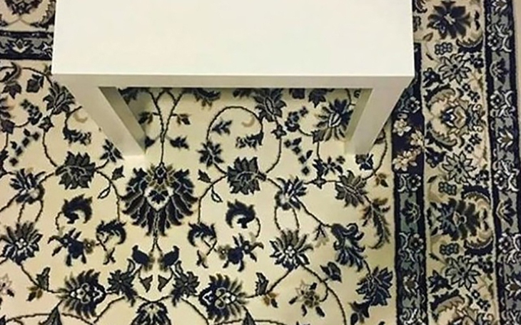 Thử tài tinh mắt: Hải cẩu ẩn giấu ở đâu? - Ảnh 9.