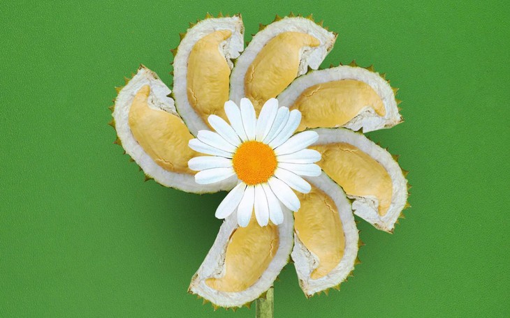 Ảnh vui 15-5: Suýt chút nữa thì... đứng hình! - Ảnh 8.