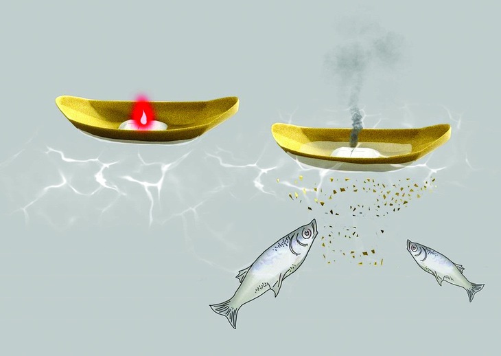 lễ hội hoa đăng - Ảnh 5.