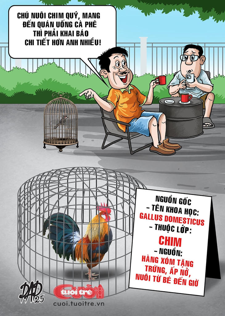 Mang loài chim này ra quán cà phê không cần trình giấy tờ - Ảnh 1.