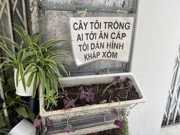 ảnh vui - Ảnh 1.