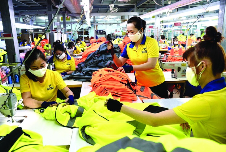 thể chế - Ảnh 1.