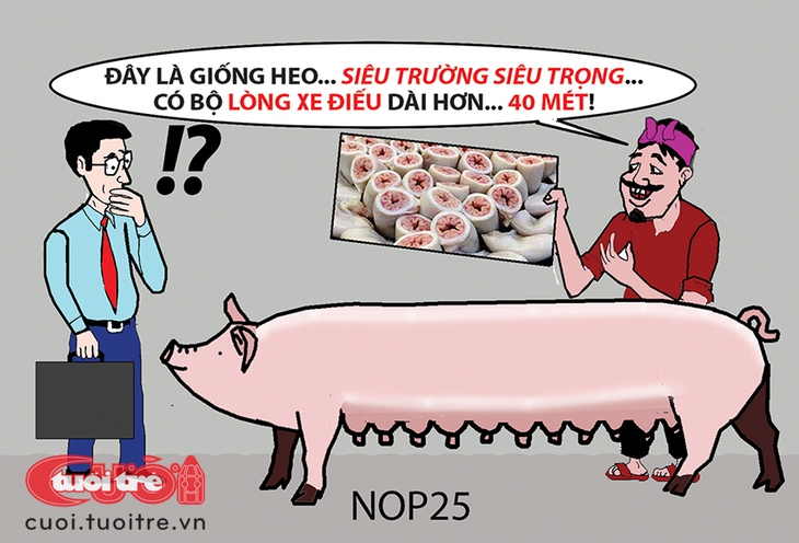 Lòng se điếu không hiếm như lời đồn - Ảnh 1.