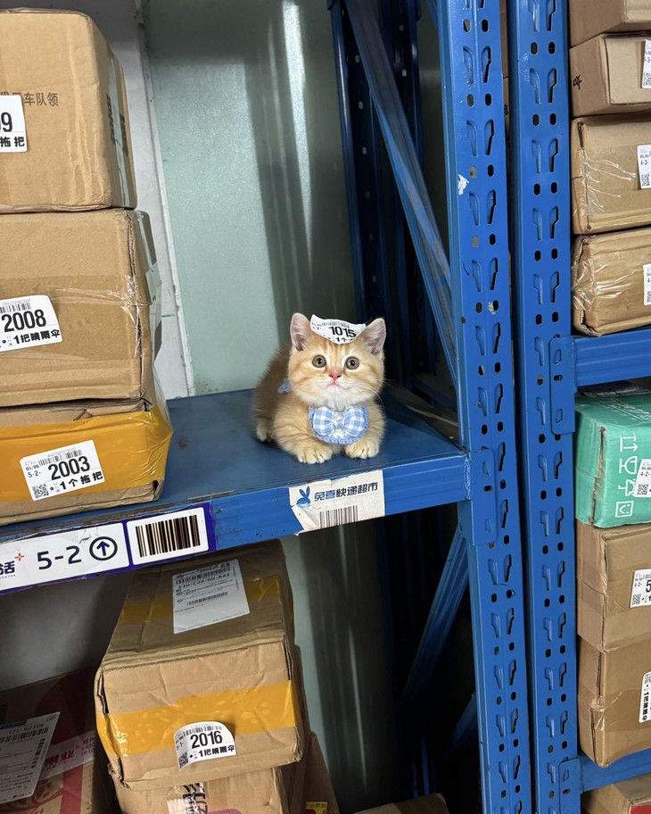 điểm danh - Ảnh 3.