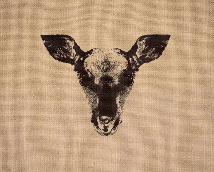 hải cẩu - Ảnh 1.