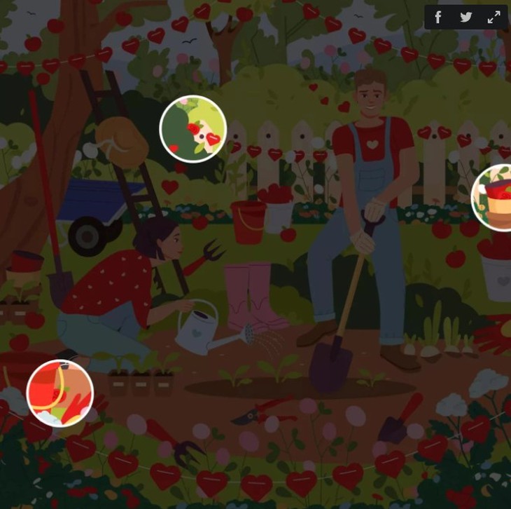 hải cẩu - Ảnh 4.