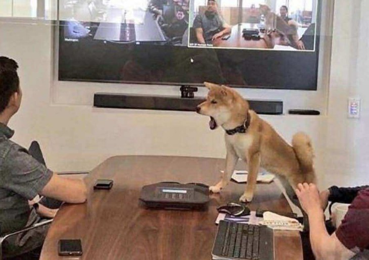 đáp án - Ảnh 4.