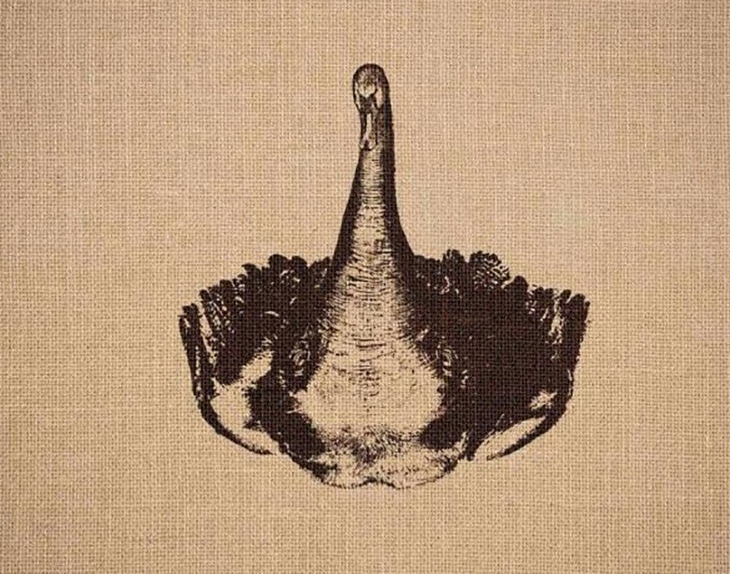 Thử tài tinh mắt - Ảnh 2.