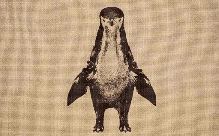 Mắt kém không thấy 11 con nai ẩn giấu trong hình - Ảnh 8.