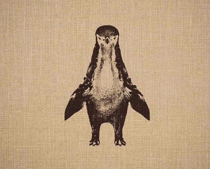 tinh mắt - Ảnh 1.