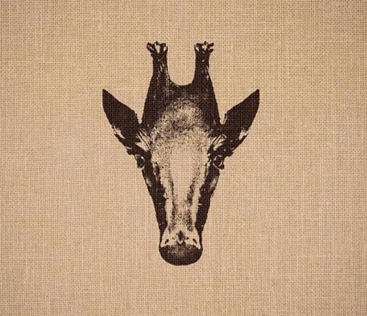 tinh mắt - Ảnh 2.