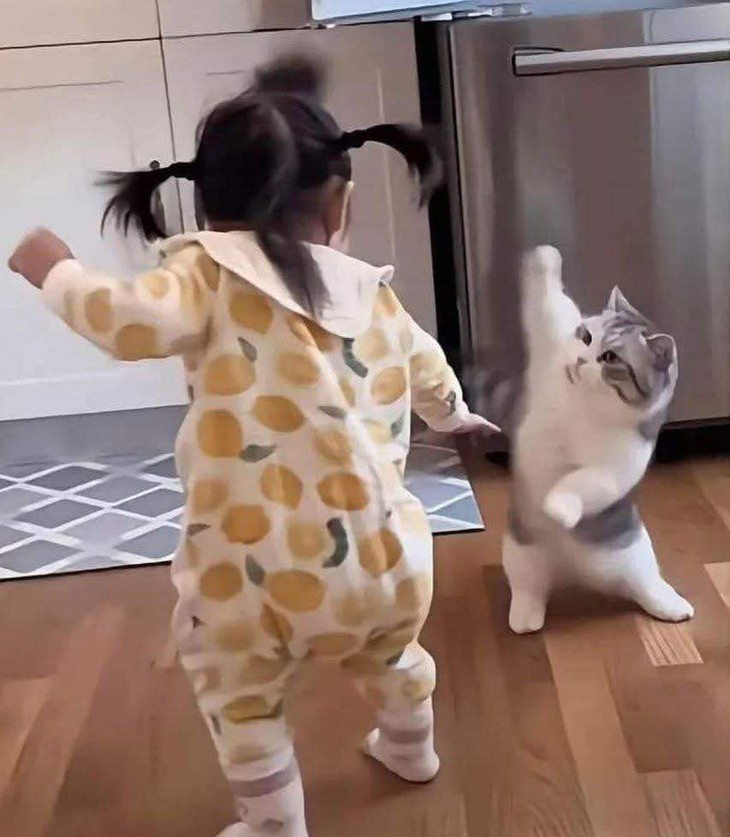 chân thành - Ảnh 3.