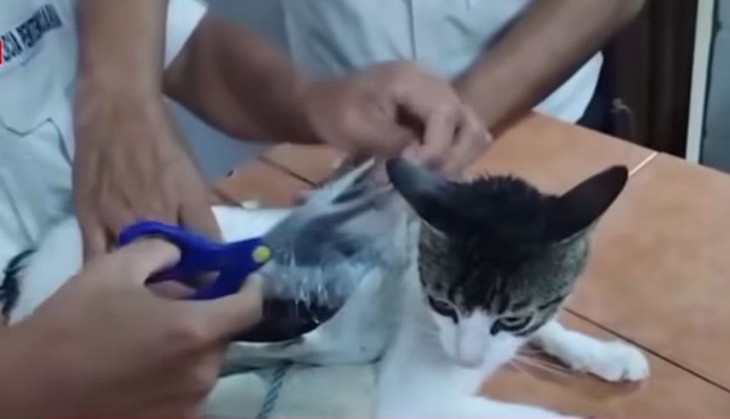 chất cấm - Ảnh 1.