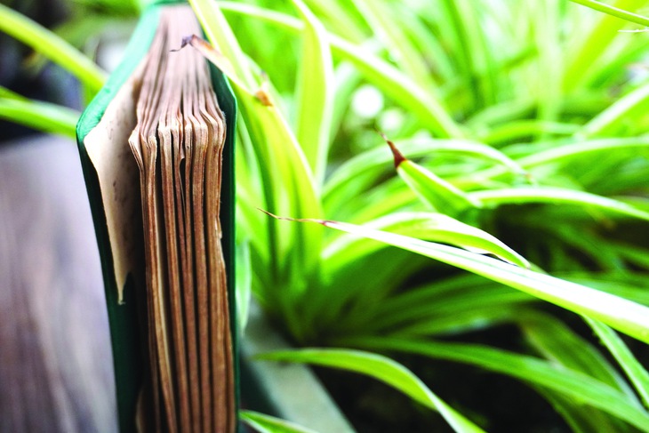 kỷ vật của ông - Ảnh 1.