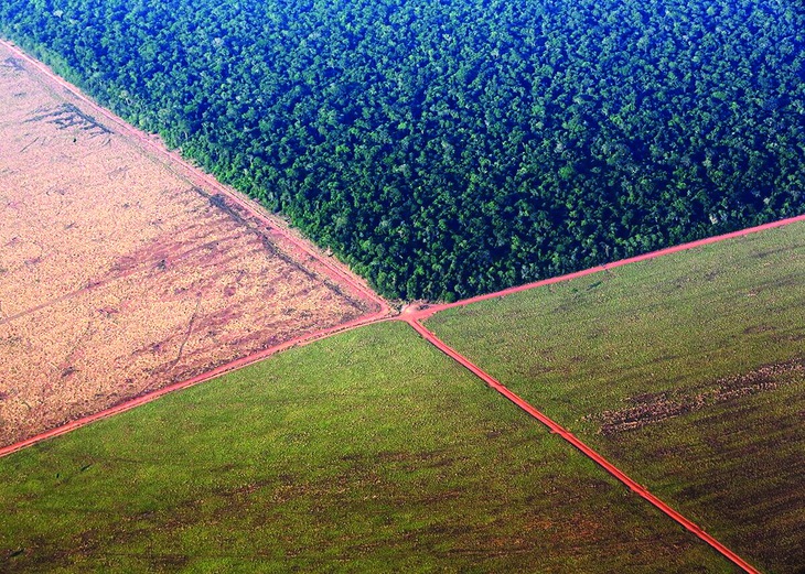 sinh học - Ảnh 1.