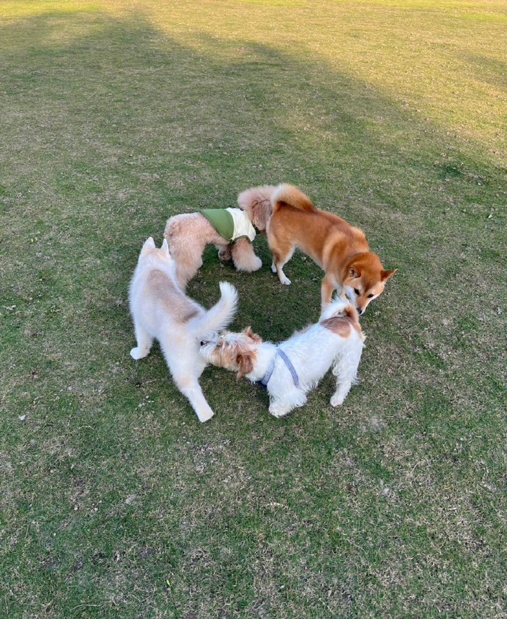 quán ngon - Ảnh 5.