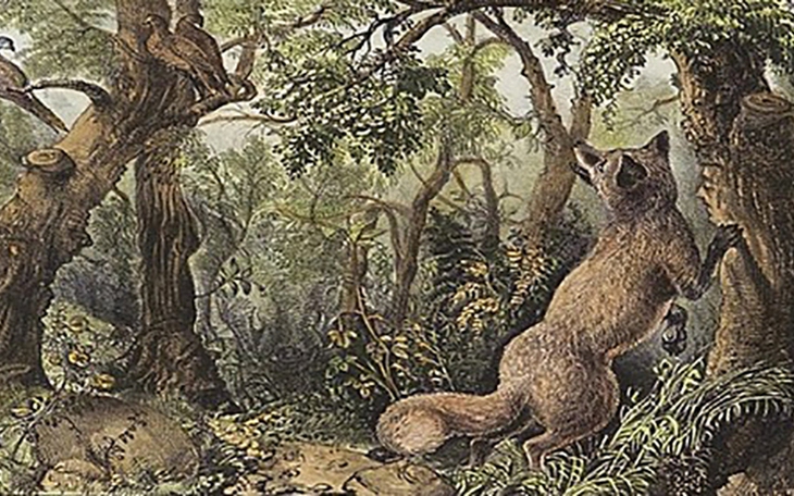 Thử tài tinh mắt: Tìm con ngựa trong 5 giây - Ảnh 8.