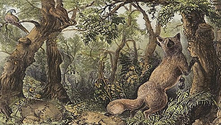 Thử tài tinh mắt - Ảnh 1.