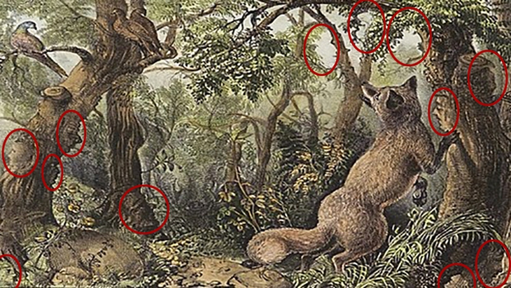 Thử tài tinh mắt - Ảnh 2.