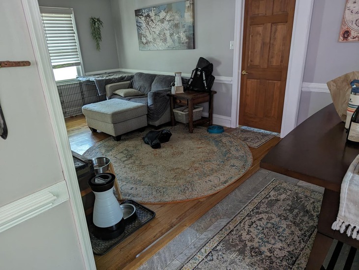 Thử tài tinh mắt - Ảnh 3.