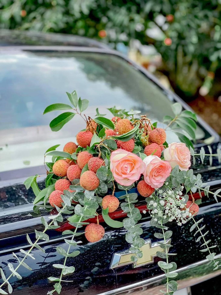 chú chó - Ảnh 2.