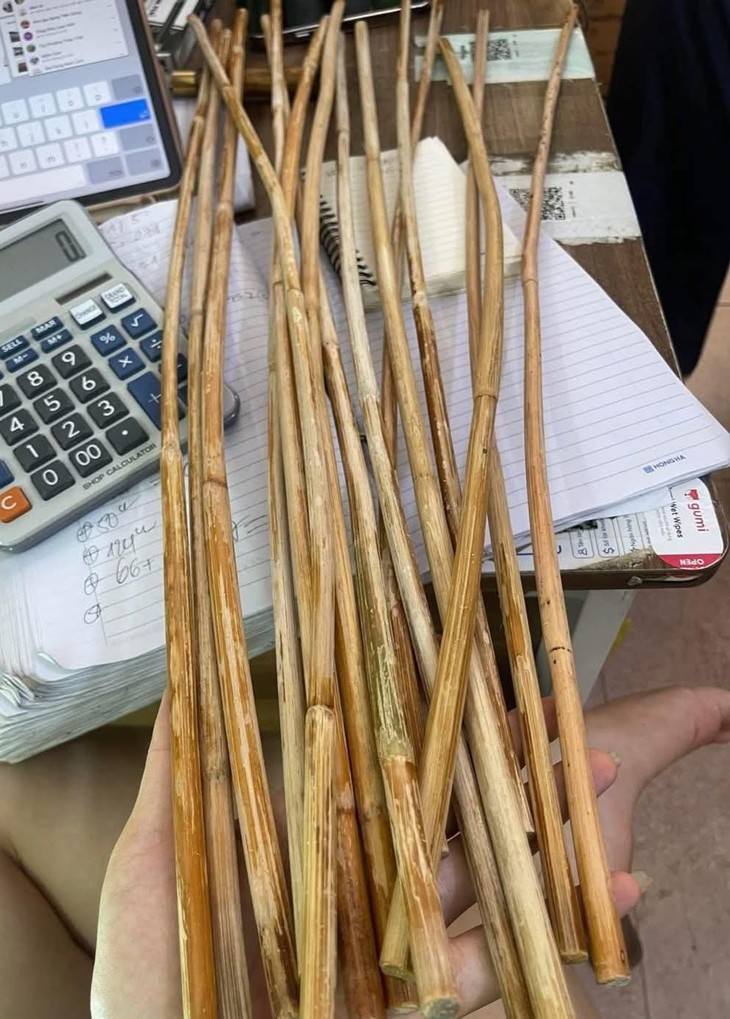 chú chó - Ảnh 3.