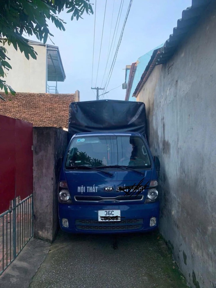 chú chó - Ảnh 5.