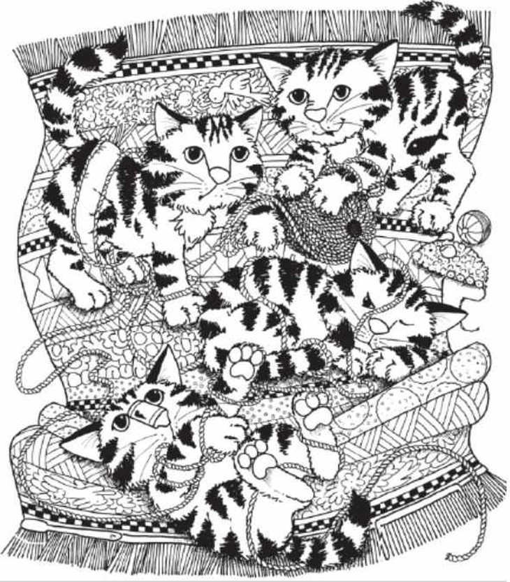 con vịt - Ảnh 3.