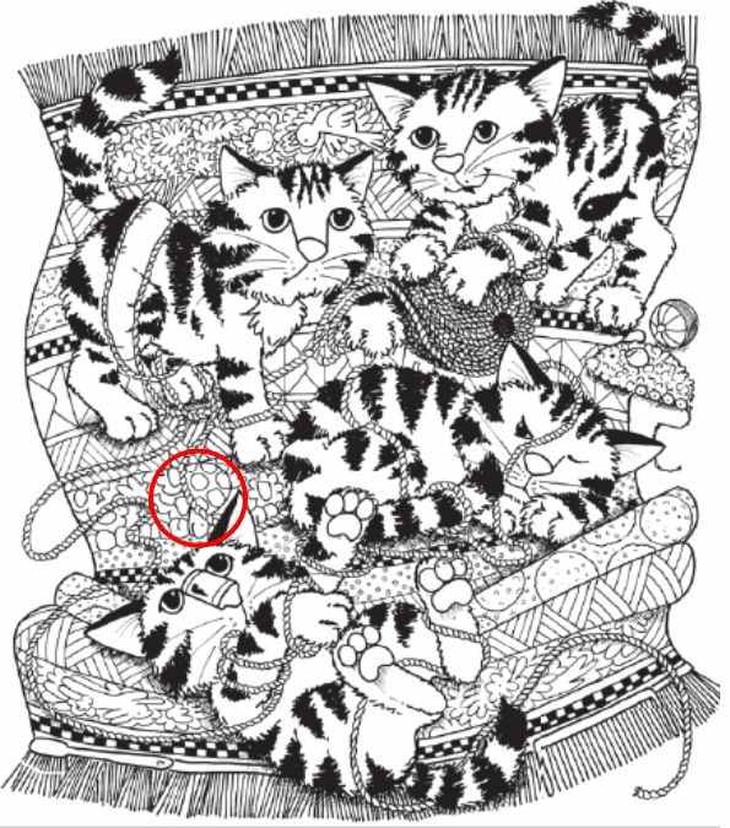 con vịt - Ảnh 4.